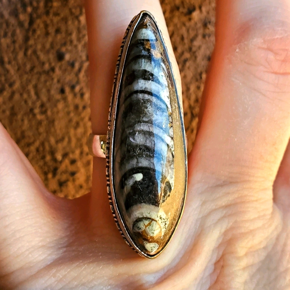 New Unique Orthoceras Fossil 925 Silver Statement Ring.